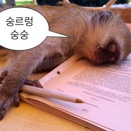 사용자 프로필 1