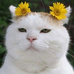 사용자 프로필 1