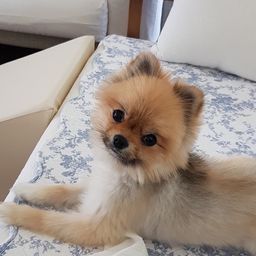 사용자 프로필 1