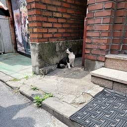 유효림의 프로필 이미지