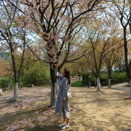 김선자의 프로필 이미지