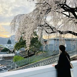 이윤아의 프로필 이미지
