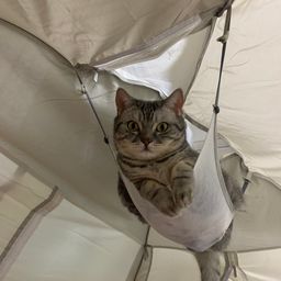 사용자 프로필 1