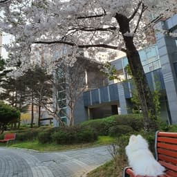 김종민의 프로필 이미지