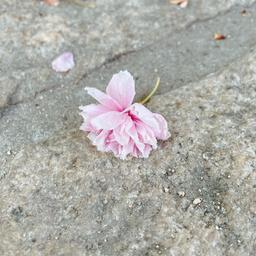 사용자 프로필 1