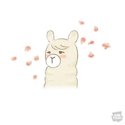 백지현의 프로필 이미지