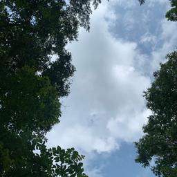 사용자 프로필 1