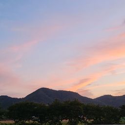 사용자 프로필 1