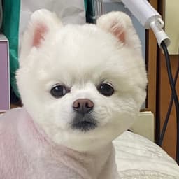 백윤서의 프로필 이미지