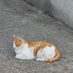 사용자 프로필 1