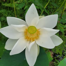 이현주의 프로필 이미지