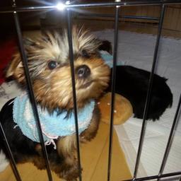 사용자 프로필 1