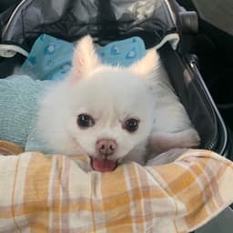 여나연의 프로필 이미지