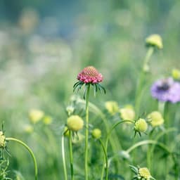 김다인의 프로필 이미지