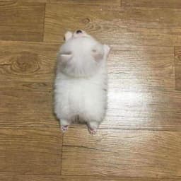 이단비의 프로필 이미지