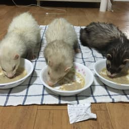 박영수의 프로필 이미지