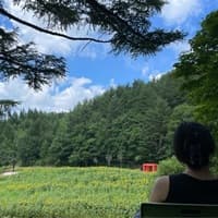 최인혜의 프로필 이미지