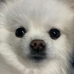 전소윤의 프로필 이미지
