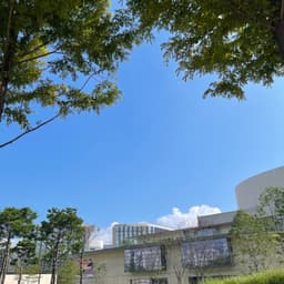 박세민의 프로필 이미지