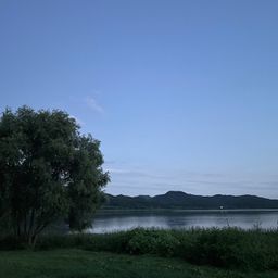 사용자 프로필 1