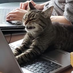 나은채의 프로필 이미지