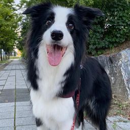 사용자 프로필 1