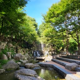 황인정의 프로필 이미지