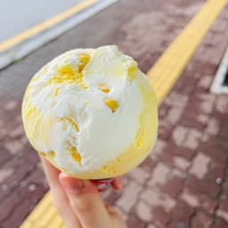 박시진의 프로필 이미지