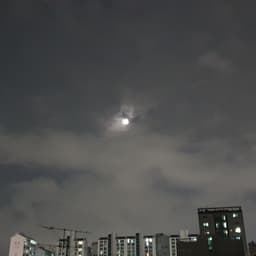 윤콩의 프로필 이미지