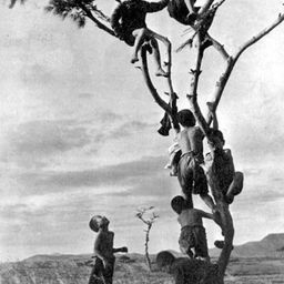 사용자 프로필 1