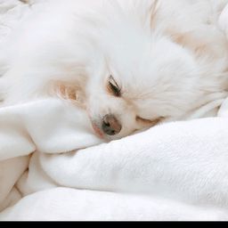 사용자 프로필 1