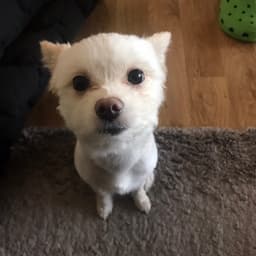 임우진의 프로필 이미지