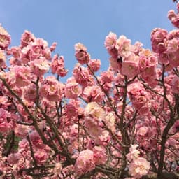 정주연의 프로필 이미지