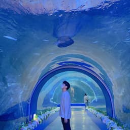 홍우정의 프로필 이미지