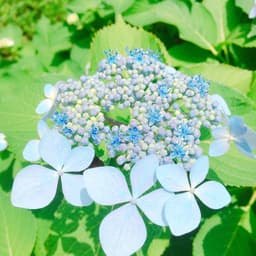 김지은의 프로필 이미지