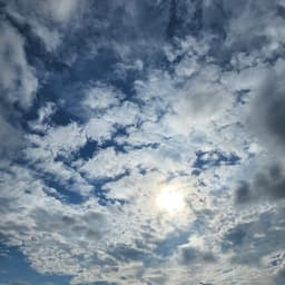 JEONVICTOR의 프로필 이미지
