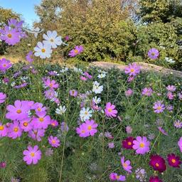 사용자 프로필 1