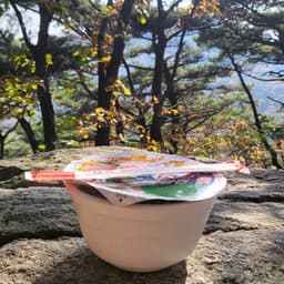 김성경의 프로필 이미지
