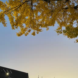 고유미의 프로필 이미지