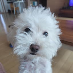 원동준의 프로필 이미지