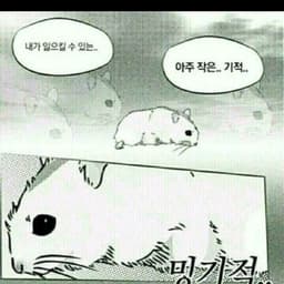 조민규의 프로필 이미지