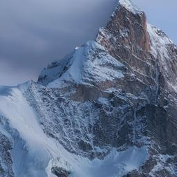 사용자 프로필 1