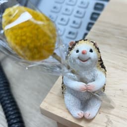 권미정의 프로필 이미지