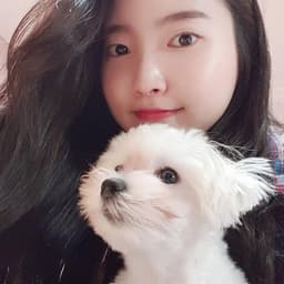 박진영의 프로필 이미지