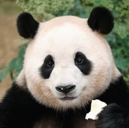 정화윤의 프로필 이미지