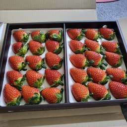 공설희의 프로필 이미지