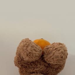 신화연의 프로필 이미지