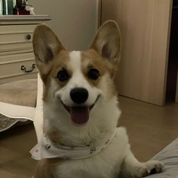 사용자 프로필 1