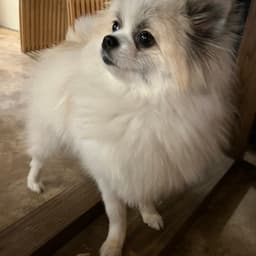 홍미나의 프로필 이미지