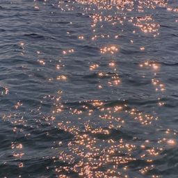 사용자 프로필 1